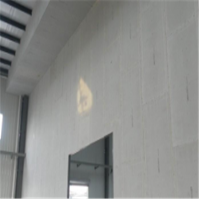 前进新型建筑材料掺多种工业废渣的ALC|ACC|FPS模块板材轻质隔墙板